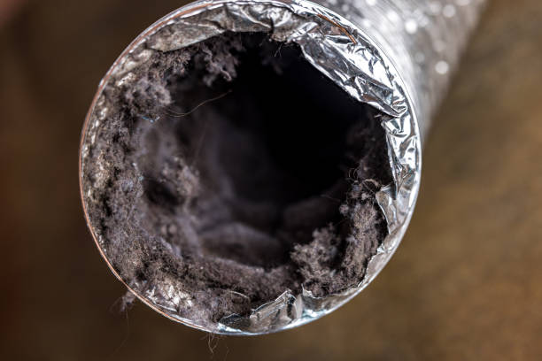 Best Air Duct Cleaning Near Me  in Bethany, MO